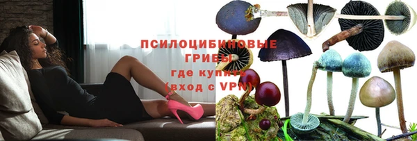 скорость Новодвинск