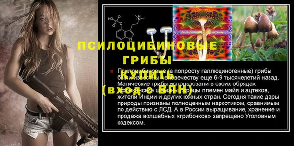 ALPHA PVP Новозыбков