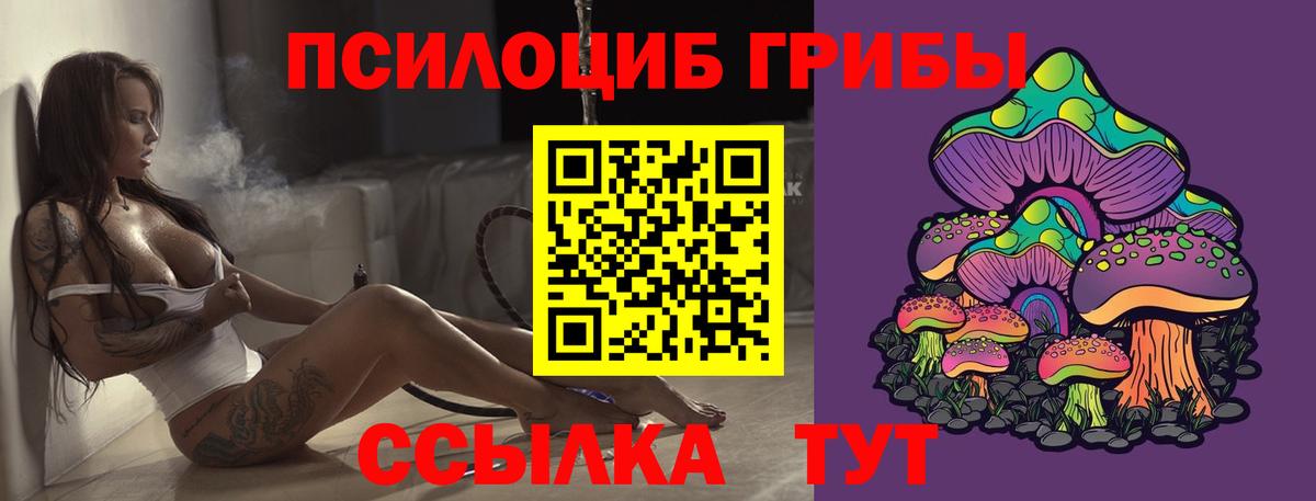 Псилоцибиновые грибы Psilocybe  Вход с VPN  Солнечногорск 